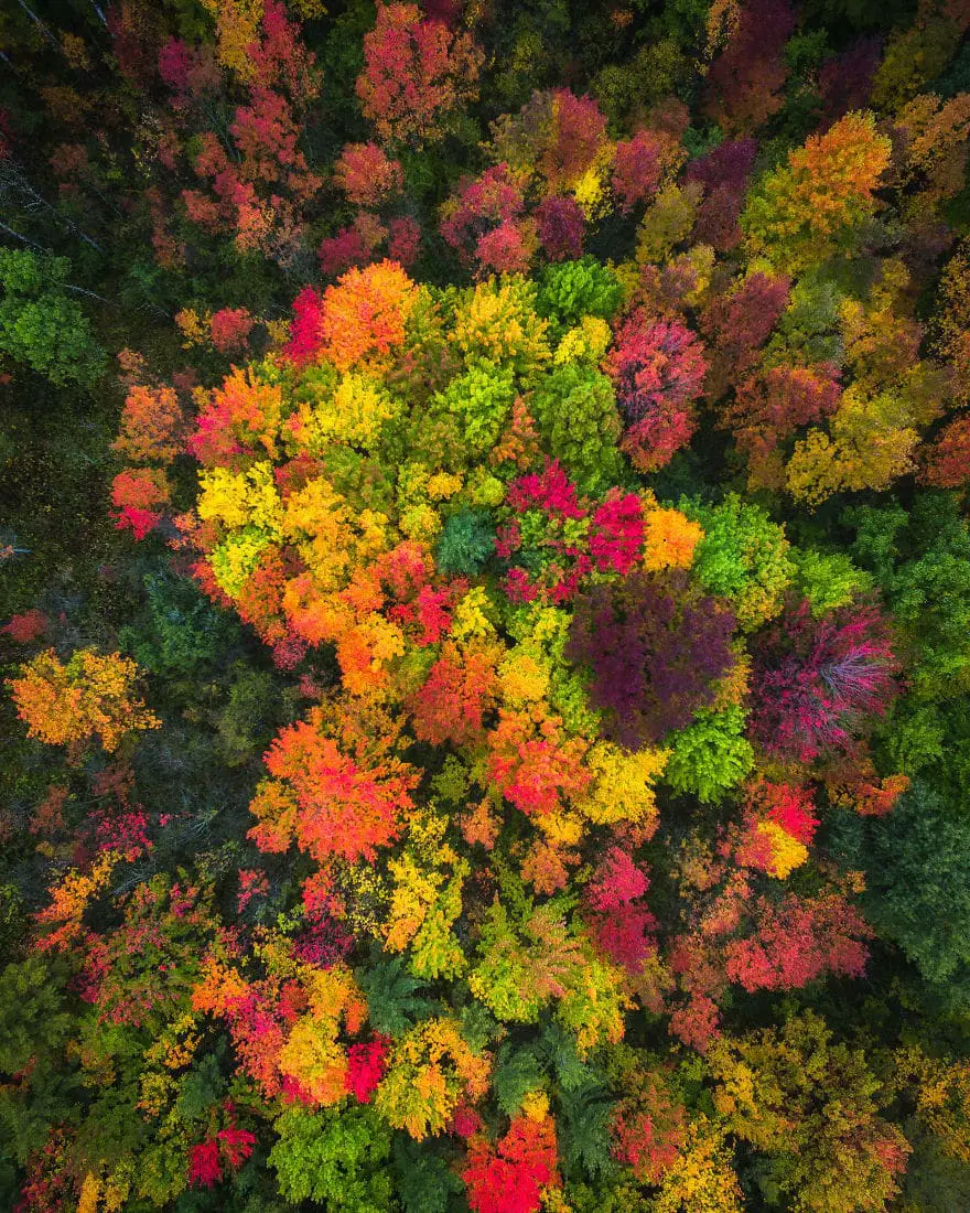 fall-drone-photos007