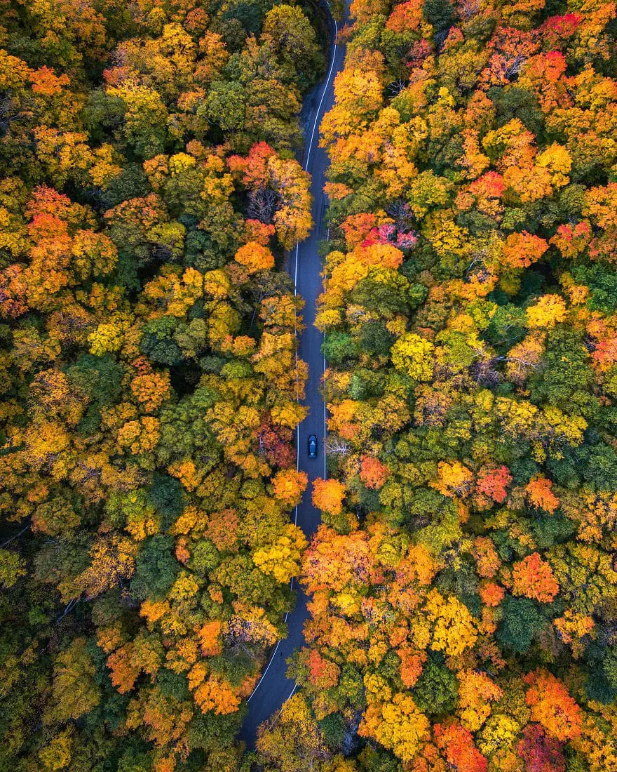 http://www.boredpanda.com/a-birds-eye-view-of-fall-colors-in-the-northeast/