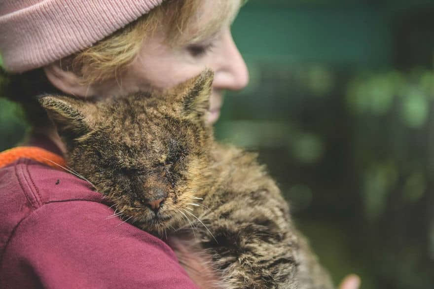 Cat No One Dared to Touch Found a Human Who Hugged Him