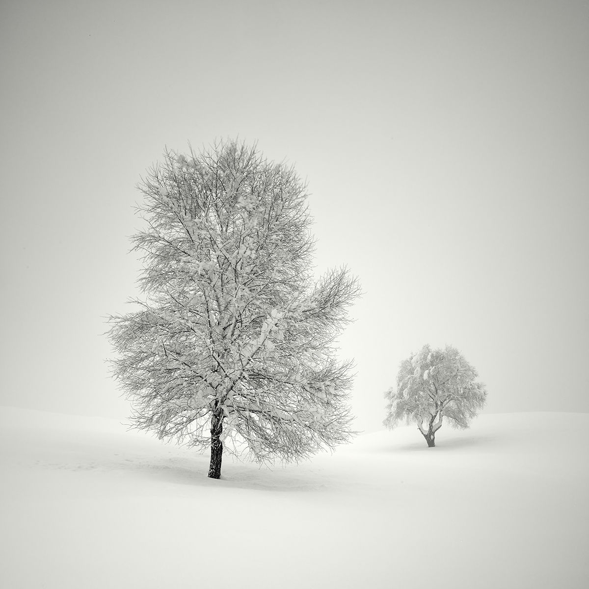 Winter is Here – Pierre Pellegrini’s Winter Photo-Series – SORTRA