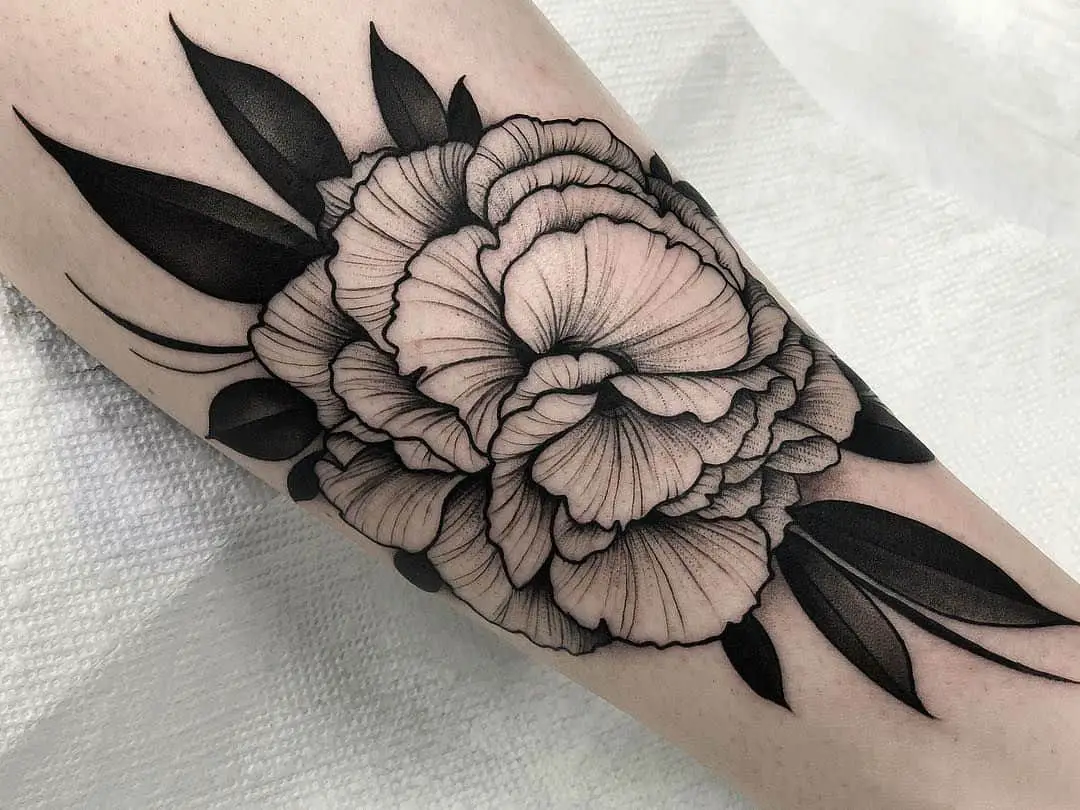 160 Best Carnation Flower Tattoo Designs With Meanings 2023