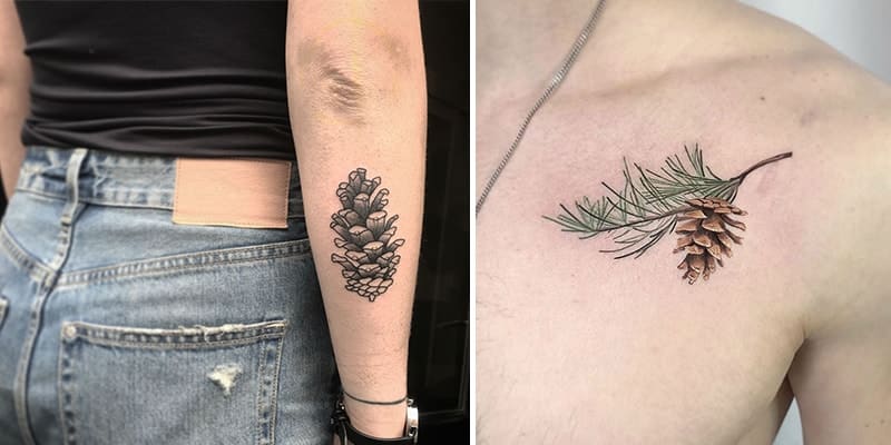 Pinecone Tattoos – Symbol of Human Enlightenment and Eternal Life