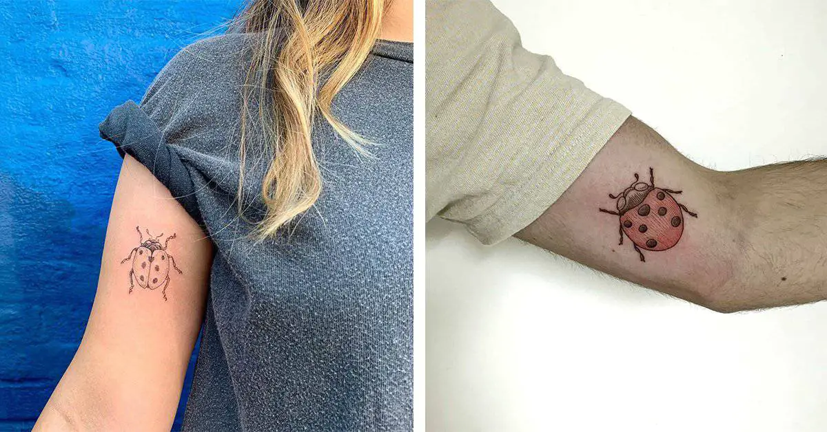 Top 20 Ladybug Tattoo Designs