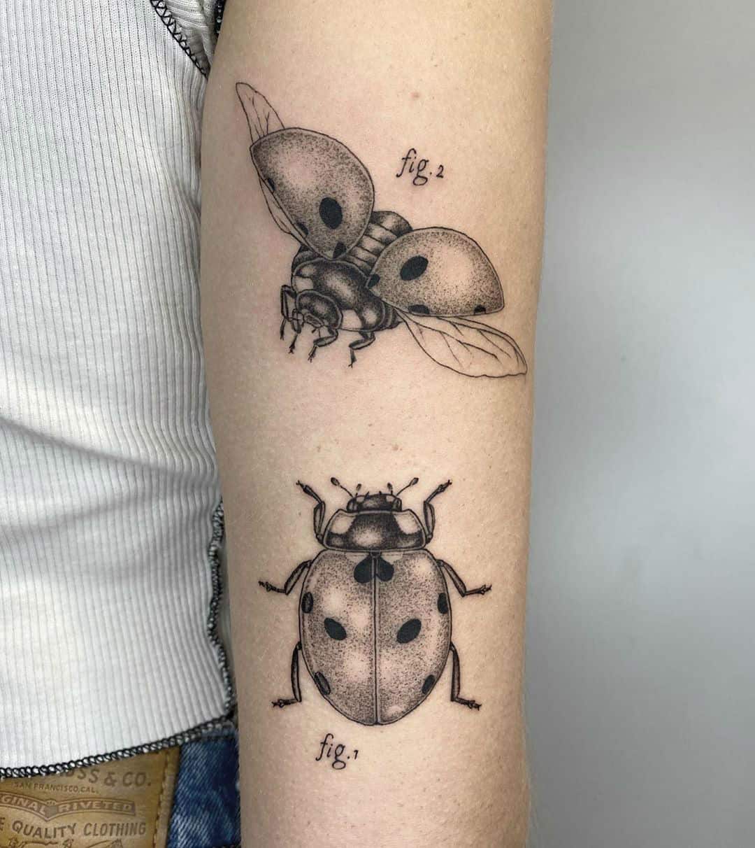 Ladybug Tattoos  Tattoo Designs Tattoo Pictures