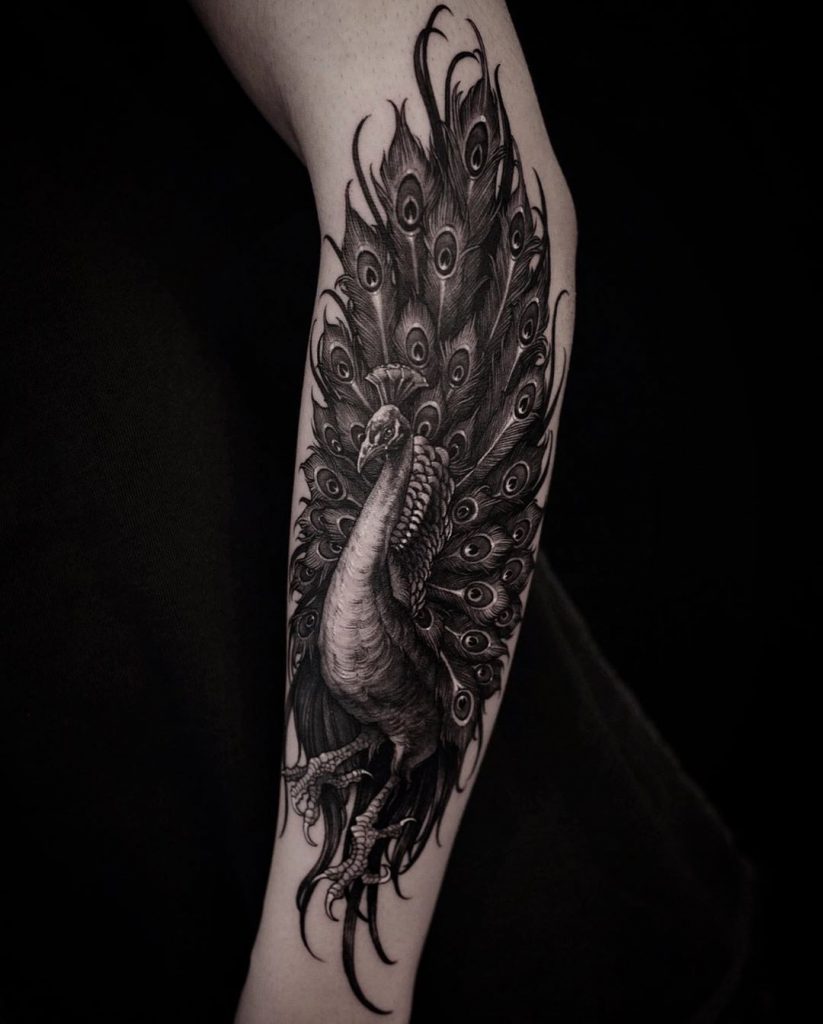 22 Stunning Peacock Tattoo Designs and Where to Ink Them