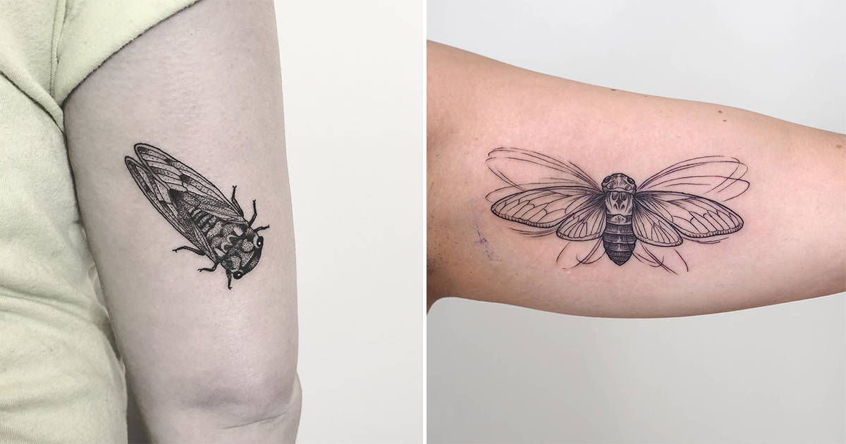 22 Cryptic Cicada Tattoo Designs and Where to Ink Them