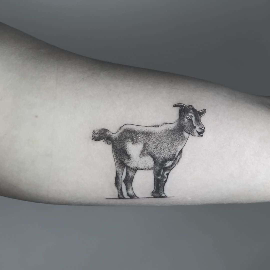 Goat skull tattoo by murderingdoll on DeviantArt