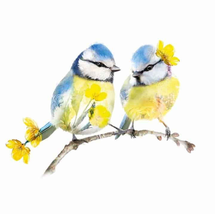 a painting of two cute little birds with yellow flowers