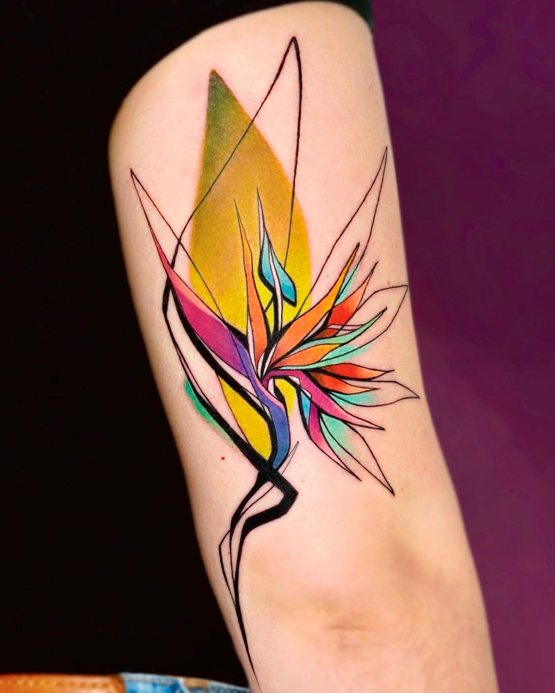 bird of paradise flower colorful tattoo