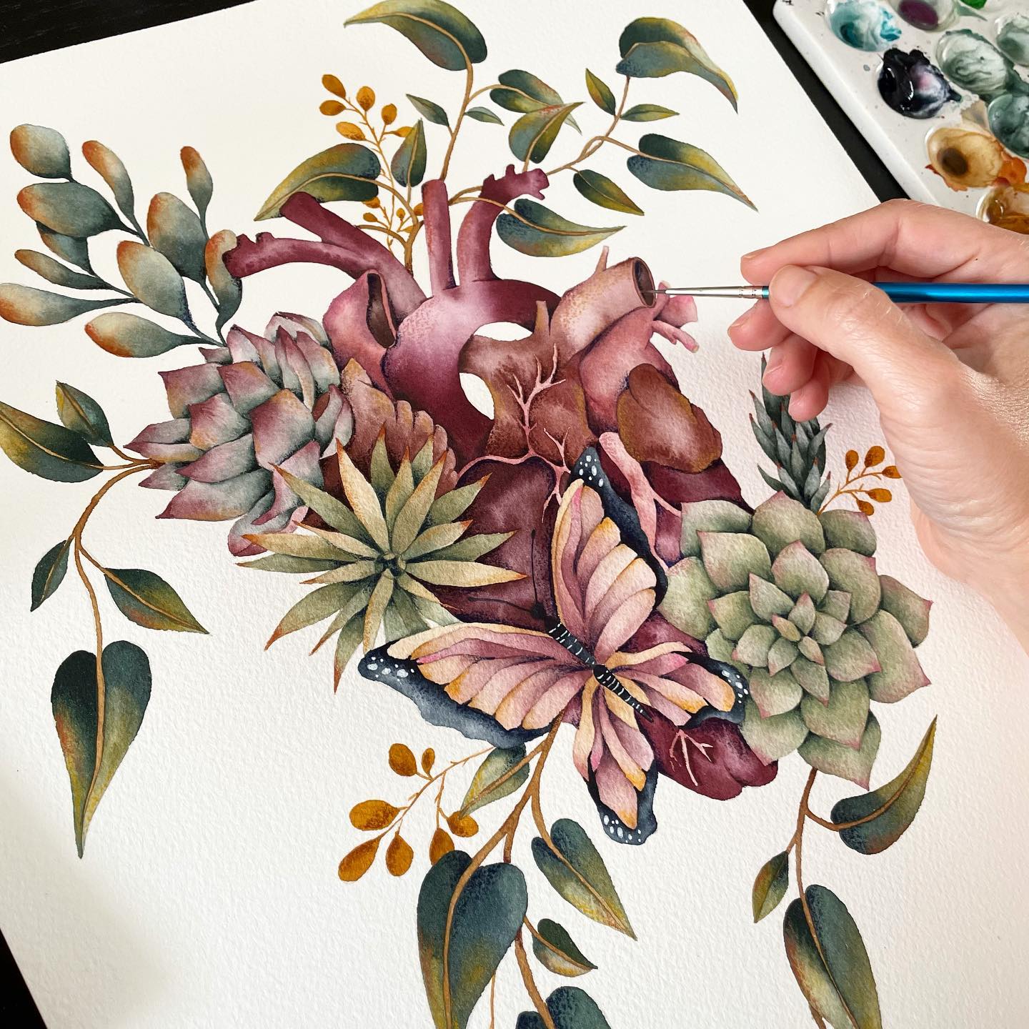 butterfly succulent watercolor painting