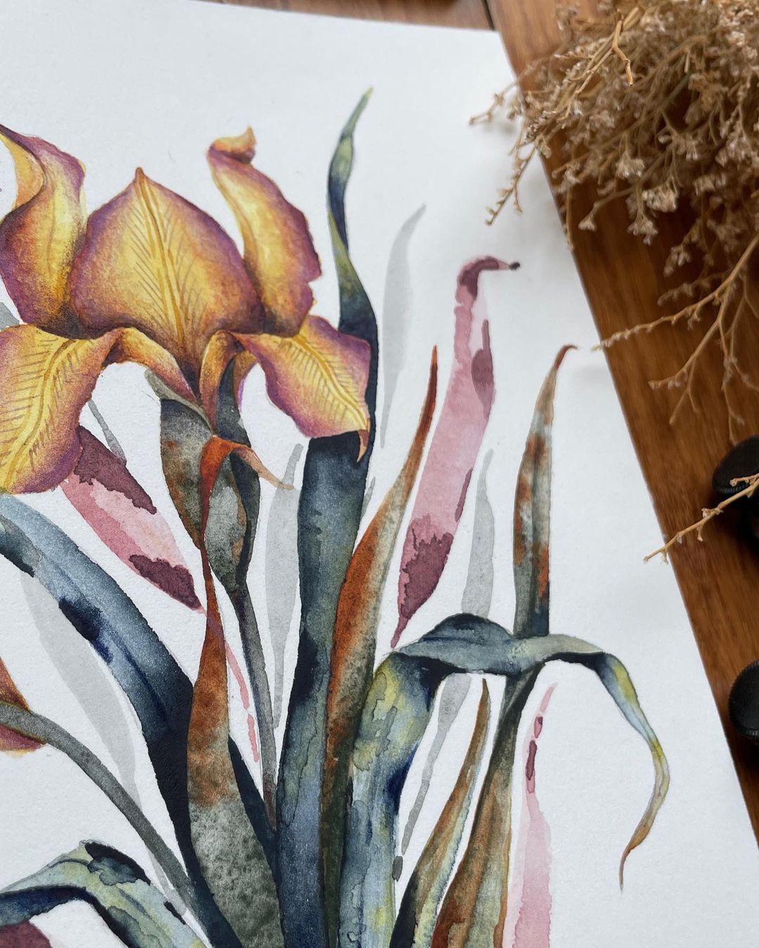 iris large scale watercolor painting