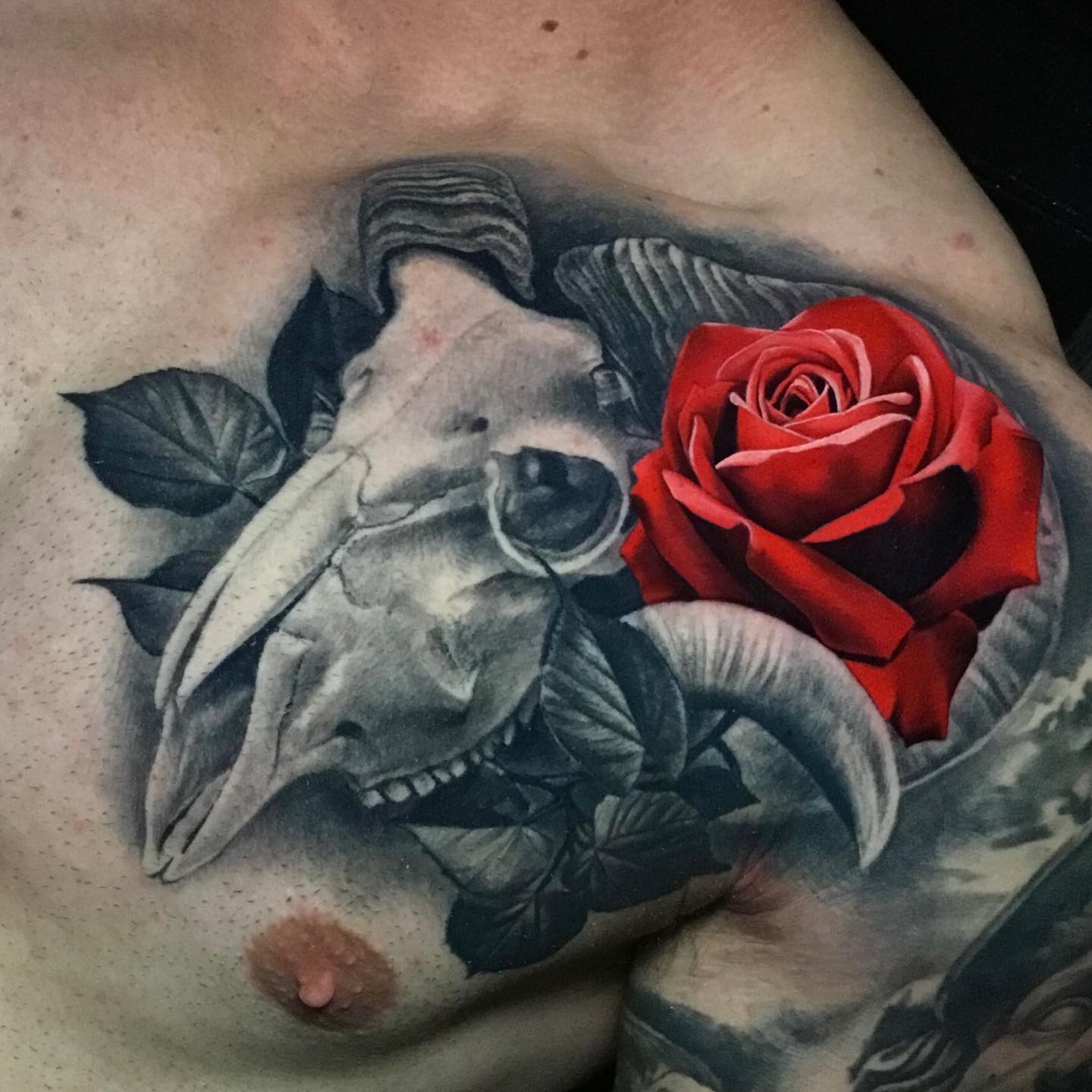 realistic red rose tattoo on black and gray background on mans chest