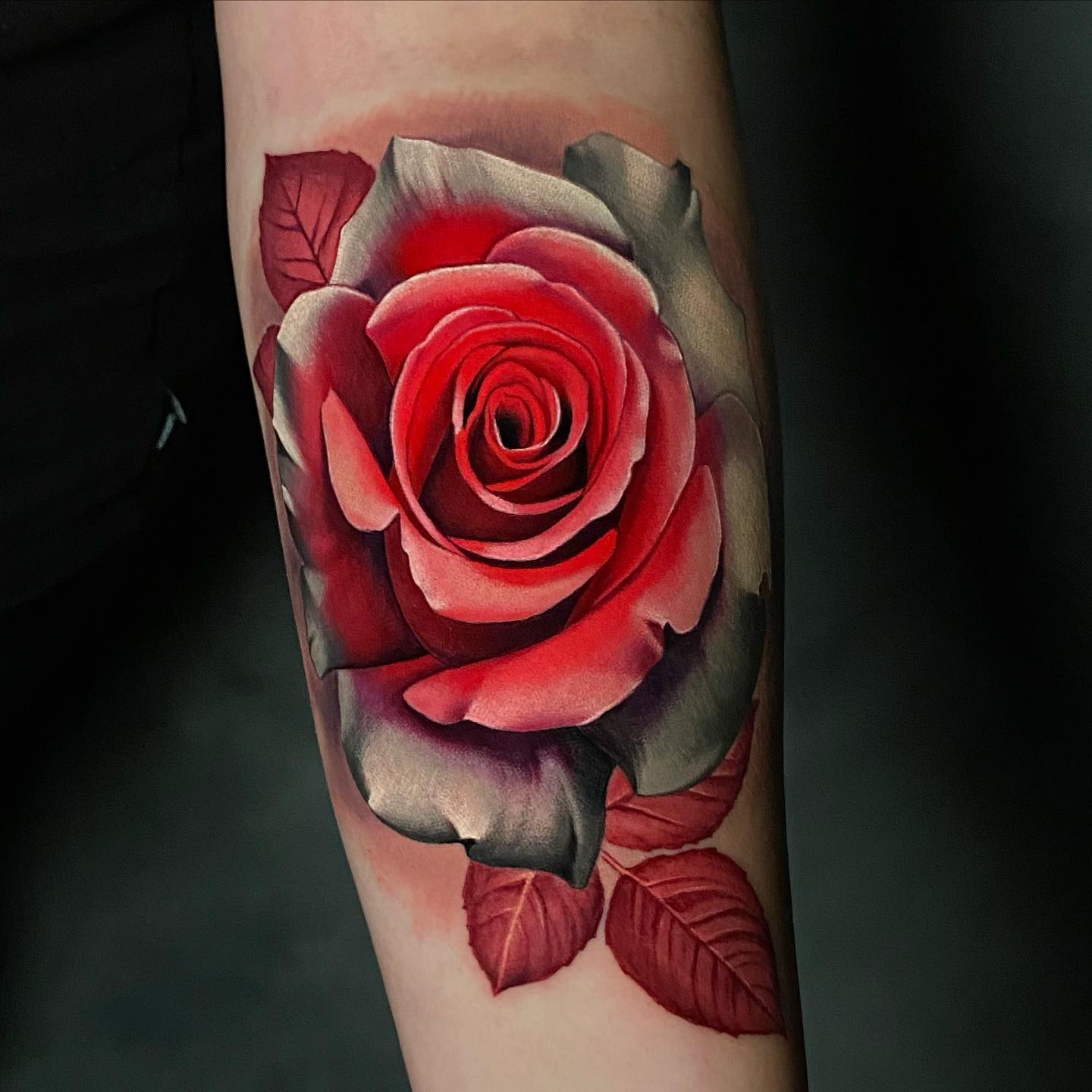 vivid red rose tattoo with red leaves on forearm