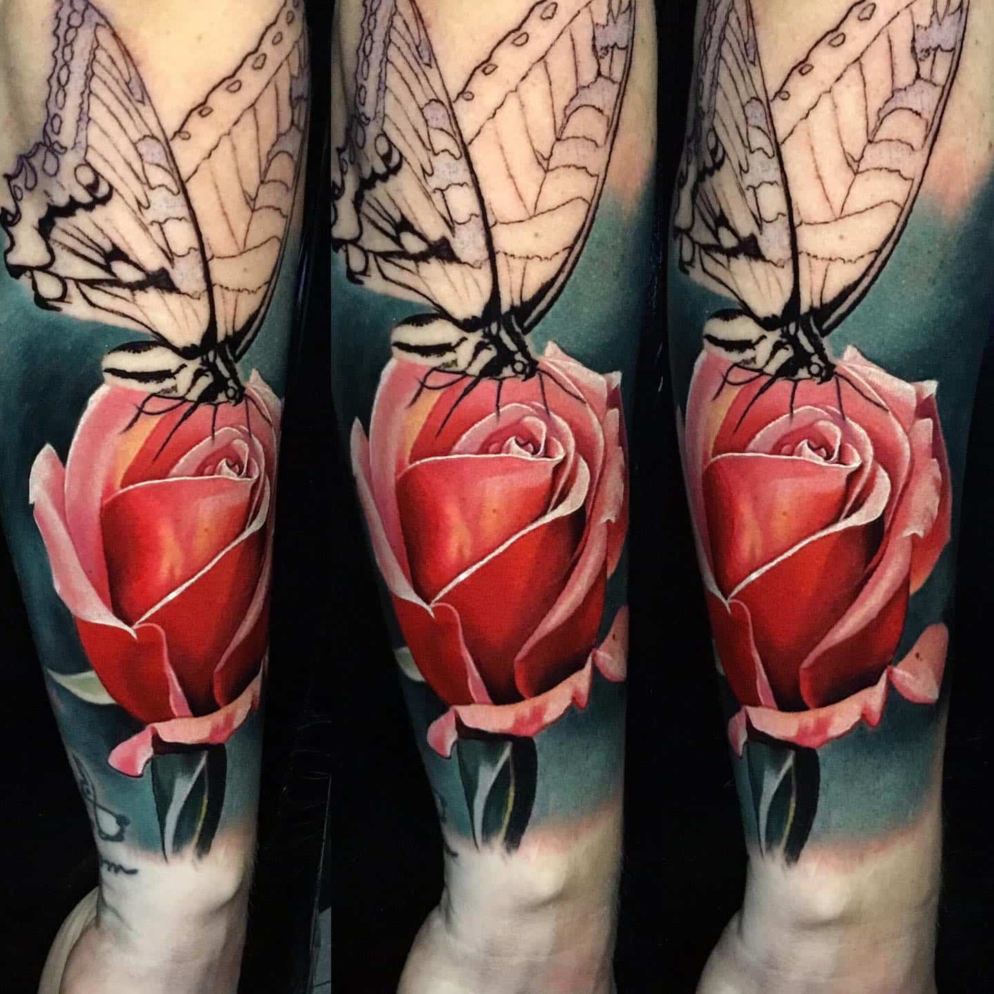 beautiful butterfly and rose tattoo on mans forearm